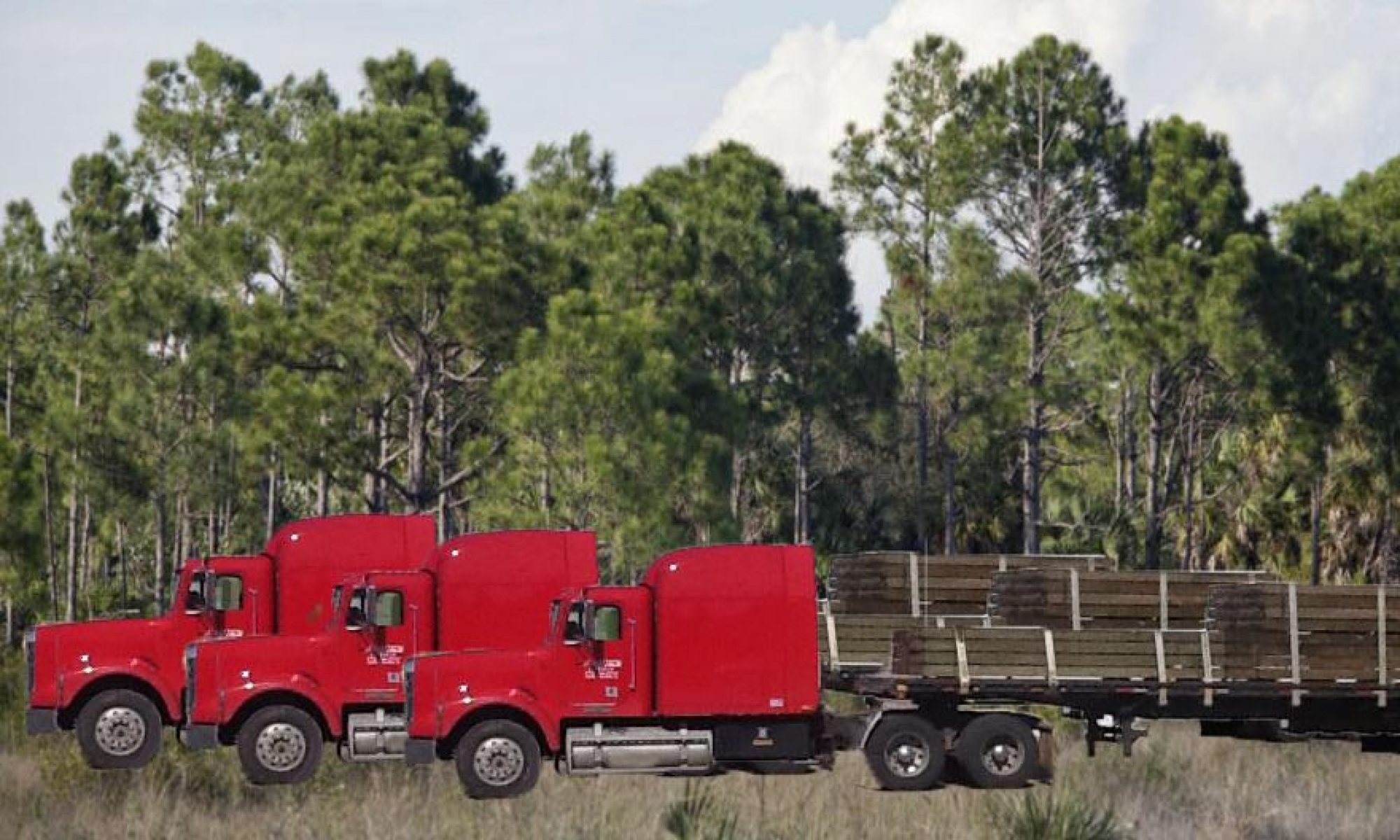 Products South houston lumber co inc.